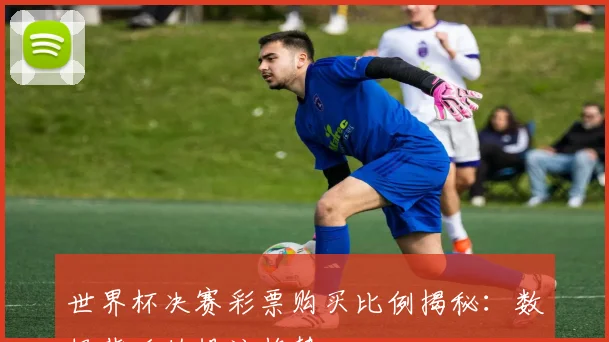 世界杯决赛彩票购买比例揭秘:数据背后的投注趋势