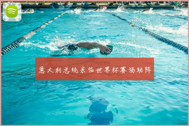意大利总统亲临世界杯赛场助阵