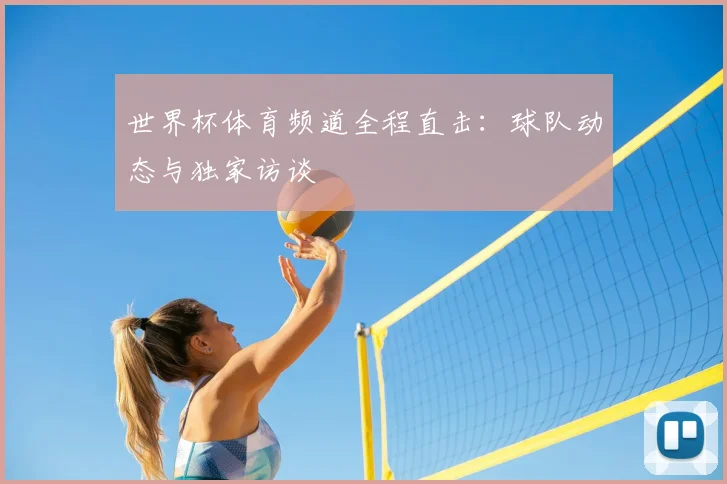 世界杯体育频道全程直击:球队动态与独家访谈