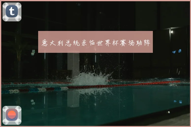 意大利总统亲临世界杯赛场助阵