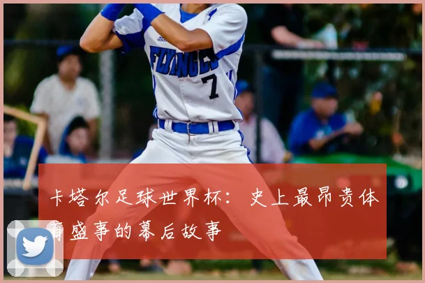 卡塔尔足球世界杯:史上最昂贵体育盛事的幕后故事