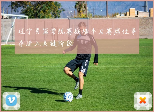 辽宁男篮常规赛战绩季后赛席位争夺进入关键阶段