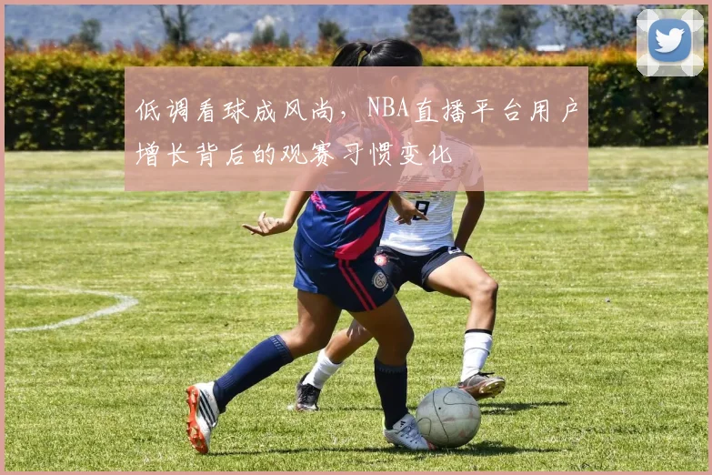 低调看球成风尚,NBA直播平台用户增长背后的观赛习惯变化