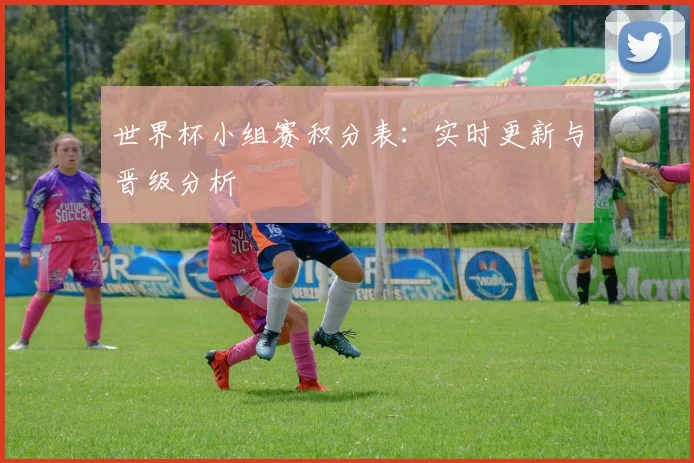 世界杯小组赛积分表:实时更新与晋级分析